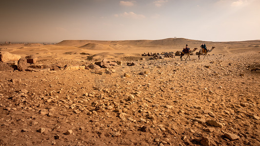 埃及开罗沙漠骑骆驼