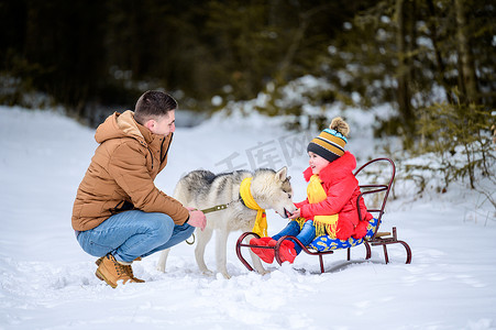 父亲带着女儿在树林里散步，女儿坐在雪橇上和哈士奇玩耍，一个带着狗的快乐家庭。