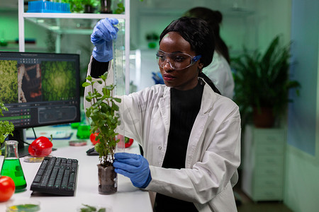 非转基因生物摄影照片_非裔美国生物化学家科学家用尺子测量树苗