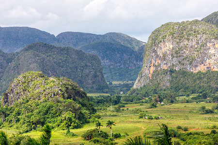 农村风景摄影照片_有 mogotes 山风景的绿色加勒比谷， Vinales， Pi