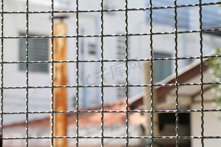 蘑菇铁丝网笼内滞留 内钢笼，缺口铁网围墙金属丝金属方格栅栏防