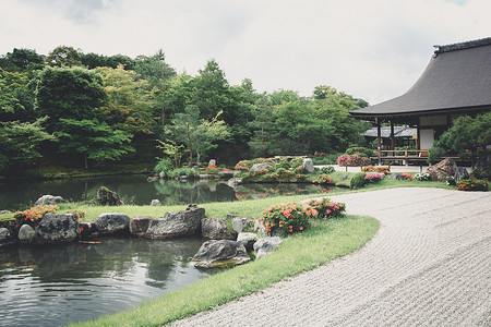 有绿色枫叶的日本禅石庭院和湖影片