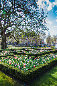 阿姆斯特丹国立博物馆及其花园及其周边地区