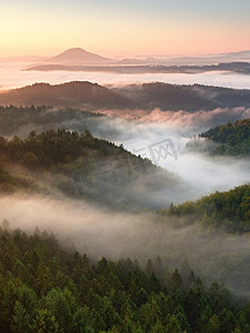 秋天的日出森林，秋天充满浓雾的五颜六色的山谷