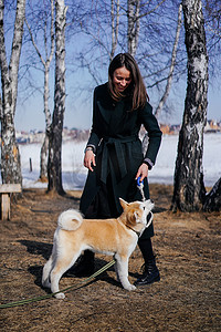 深绿色森林摄影照片_带绿色皮带的秋田犬和穿深绿色外套的女人玩绳索玩具