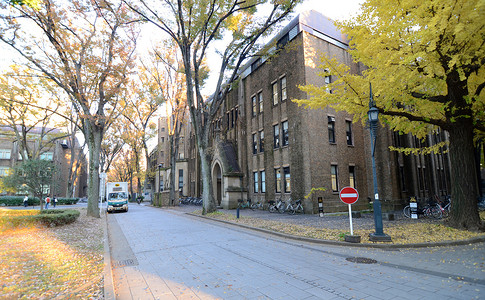 日本大学摄影照片_东京 - 11 月 22 日：日本东京大学