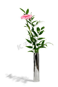 粉色花底纹素材摄影照片_金属花瓶中的粉色格柏雏菊