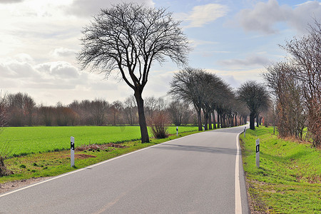 在田野和树木的乡村道路上的美丽景色