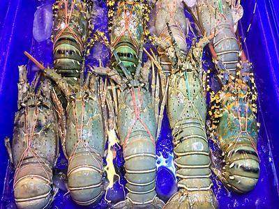 托盘上的大号龙虾和蓝色的容器在市场上都是蓝色的，在选择购买海鲜时很受游客欢迎。