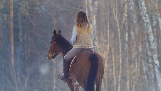 骑黑马的女骑手穿过雪地，后视