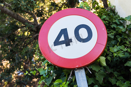 限速40摄影照片_反对绿叶的限速交通标志