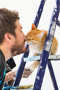 维修、翻新、宠物和爱情情侣概念 — 有猫做维修和粉刷墙壁的年轻人