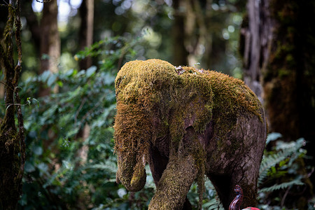 动物雕塑摄影照片_苔藓覆盖的大象雕像石头（动物雕塑）