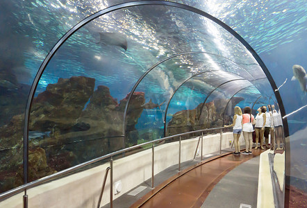 底部通知栏摄影照片_游客在水族馆看鱼