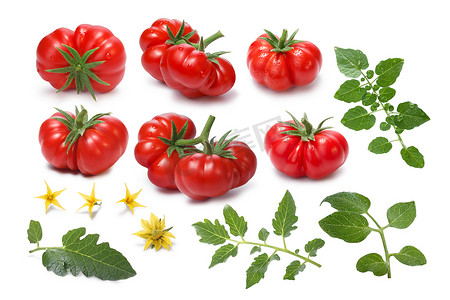 传家宝摄影照片_一套成熟的传家宝西红柿，Togorific 品种