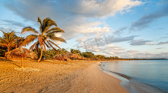 Rancho Luna 沙滩，沙滩上有棕榈树和稻草伞
