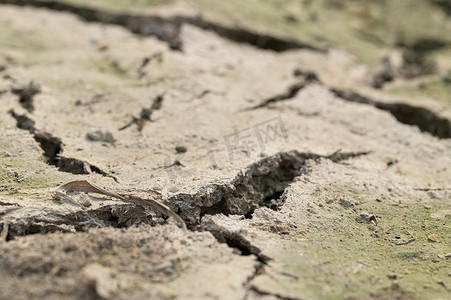 爱地球摄影照片_爱世界的理念，爱环境 Ground drid drou