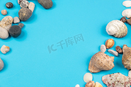 蓝色背景中的贝壳和岩石。海洋主题