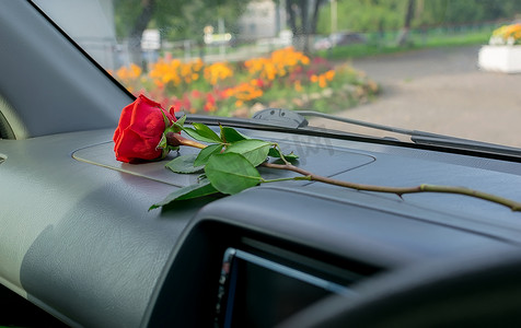 一朵红色的玫瑰花躺在车内的仪表板上