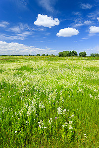 农村风景摄影照片_夏日风景