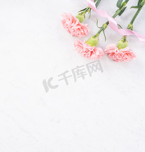 母亲节康乃馨摄影照片_明亮的白色大理石桌背景上美丽优雅的粉色康乃馨花，母亲节花礼的概念，顶视图，平躺，头顶