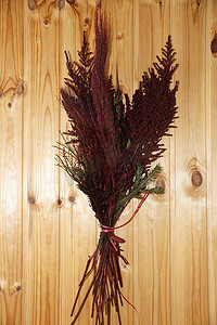 木墙上的红色稳定芦苇，用于家居装饰