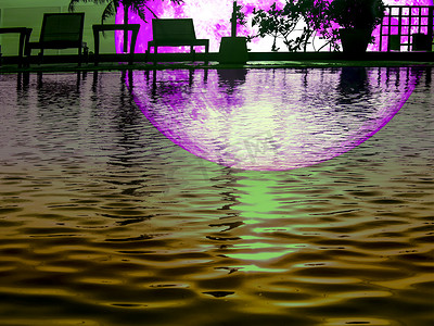 超级紫色的月亮剪影植物倒影在池中