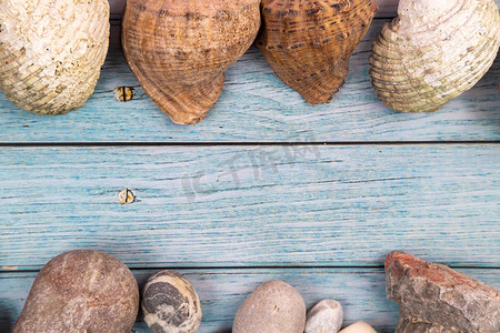 蓝色木质背景上的岩石和贝壳。海洋主题