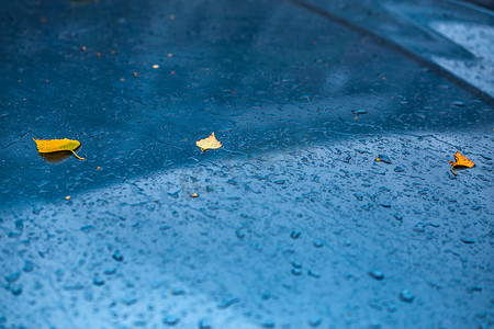 秋雨天湿的海蓝宝石蓝色汽车表面，黄桦叶和水滴 — 选择性聚焦，模糊