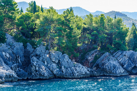 海边活动摄影照片_海边，被水冲刷的岩石和上面的植被
