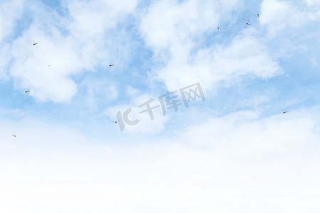 飞翔蜻蜓摄影照片_蜻蜓在美丽晴朗的天空背景下飞翔