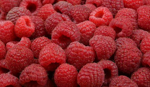 背景丰富摄影照片_新鲜的红色成熟莓果背景