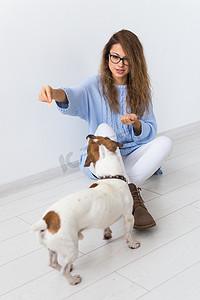 宠物主人的概念 — 穿着蓝色毛衣的迷人开朗女性与她最喜欢的宠物玩耍。