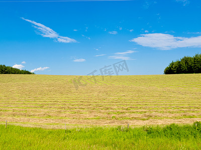 农田景观在农业草甸上割草