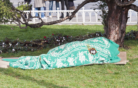 无家可归者摄影照片_睡在公园毯子下的无家可归者