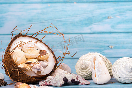 蓝色木质背景中的椰子和贝壳。海洋主题
