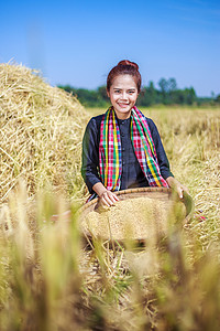 打稻谷摄影照片_农妇在地里打稻谷
