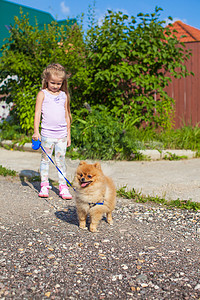 小女孩用皮带牵着她的狗散步