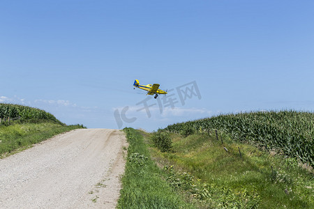 化学粉摄影照片_黄色农作物喷粉器在农作物上喷洒农药