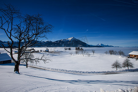 有 Rigi 和 Pilatus 的冬季风景 Zugerberg