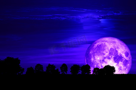 黑暗背影摄影照片_黑暗天空中的超级紫色雪月背影树