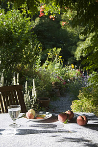 花园桌上桃子的特写，背景是植物