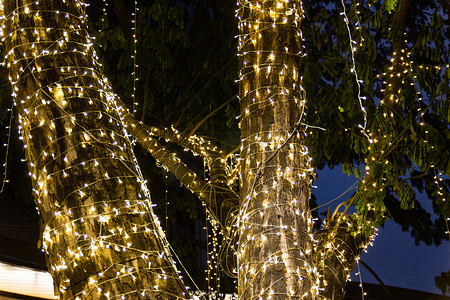 灯串psd摄影照片_夜间花园树上的 LED 灯串电缆