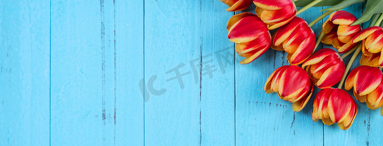 郁金香花束，母亲节设计理念 — 蓝色木质背景中突显的美丽红色、黄色花束、顶视图、平躺、复制空间