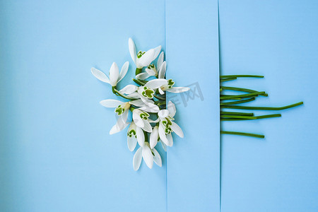 下雪花摄影照片_在彩色背景上用雪花莲花组成，在明亮的蓝色背景上用雪花莲花制作的创意布局。