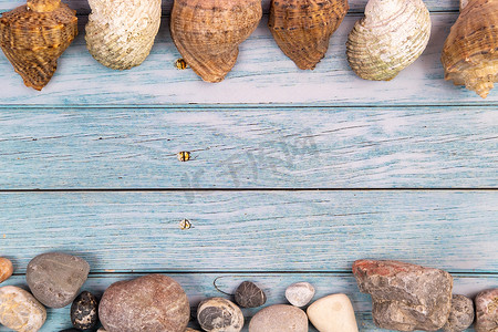 夏天主题背景摄影照片_蓝色木质背景上的岩石和贝壳。海洋主题