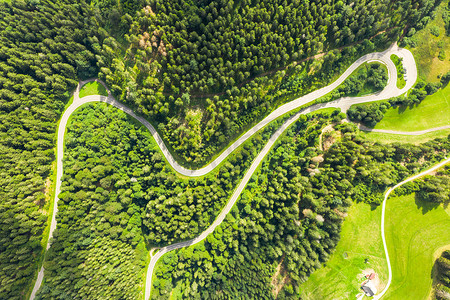 大门上边的狮子摄影照片_德国黑森林地区蜿蜒的道路