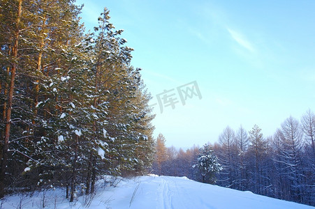 冬天场景图摄影照片_晚上冬天风景在森林里