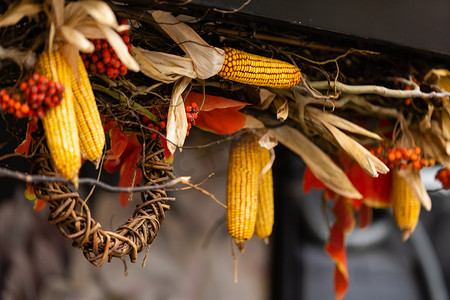 农村农舍门口成熟的黄色玉米秸秆串，象征生育