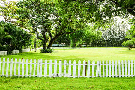 花园的栅栏背景摄影照片_花园木栅栏中的绿树和绿草
